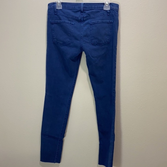 Curren Elliot the roller moonbean‎ - Picture 7 of 13